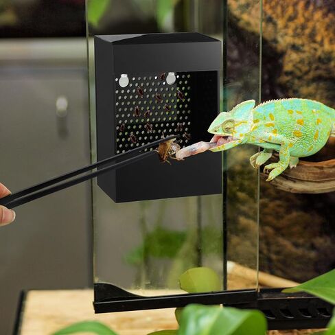 وحدة تغذية التنين الملتحي من Geyoga مع ملاقط حوض السمك من الأكريليك الشفاف لتغذية الزواحف ووعاء حشرات الحرباء المثبت على الحائط مع أكواب شفط لسحلية التنين الملتحية in Saudi Arabia