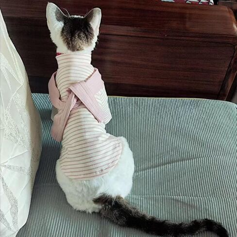 Soft Puppy tripe Dog Shirts Pet Apparel Cat Tee Dog Sweatshirt Pet Breton Top Pet Clothes for Small Dogs (Orange Red, Large) in Kuwait