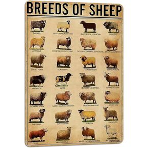 PAIION Sheep Knowledge Metal Tin SignS Breeds Of Sheep Retro Decor Poster School Farm Cafe Bar Bedroom Bathroom Kitchen Home Art Wall Decoration 8x12 Inches