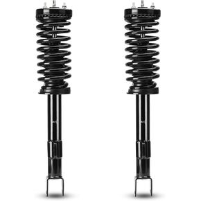 Front Left and Right Side Struts w/Coil Springs Shock Absorbers for RWD 2005-2010 06 07 08 09 10 Chrysler 300, 2006-2010 Dodge Charger, 2005-2008 Magnum Replace for 172248, 11260, 182248 (Set of 2)