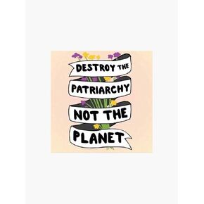 Destroy The Patriarchy, Not The Planet Sticker - Sticker Graphic - Auto, Wall, Laptop, Cell, Truck Sticker for Windows, Cars, Trucks