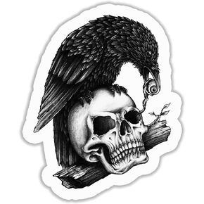 Skull & Crow Cool Funky Vinyl Bumper Sticker Decal 5 inch