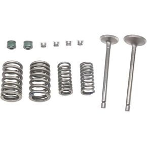 Autu Parts Cylinder Head Intake Valve Kit for Honda XR200 XR200R 1980-2002