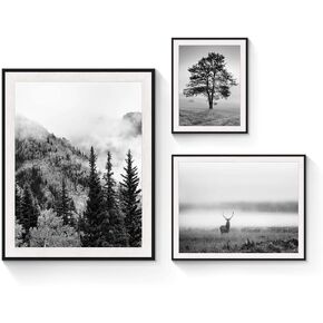 SunFlax Natural Landscape Framed Wall Art - Mysterious Forest and Wildlife Animal Pictures Wall Art Sets with Black Wooden Frames for Bathroom, Living Room, Bedroom, Office 3 PCS