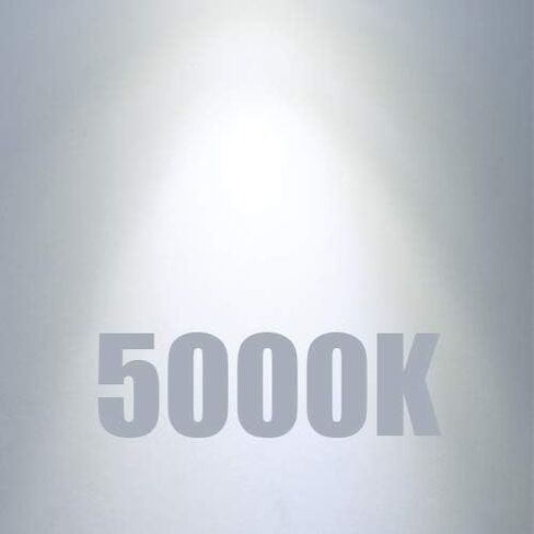 مصابيح LED T6 قابلة للتعتيم، مصابيح إضاءة اديسون 8 وات E12 بيضاء باردة 5000 ك، 800 لومن، 100 وات لمبات شمعدان متوهجة تعادل لمبة شمعة اديسون ذات خيوط LED عتيقة مع ديكور، 6 عبوات in Saudi Arabia