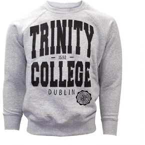 Men's Sweatshirts Irish Trinity College Grey Long Sleeve Pullover