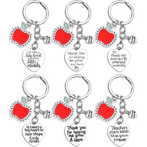 BESPMOSP 6 قطع سلسلة مفاتيح المعلم عيد الحب تقدير المجوهرات هدية شكرًا لك المعلم كيرينغ المعلم هدايا التقاعد من الطلاب in Kuwait