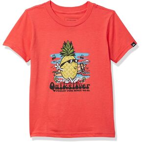 Quiksilver Boys' Pineapple Vibes Short Sleeve Tee Shirt