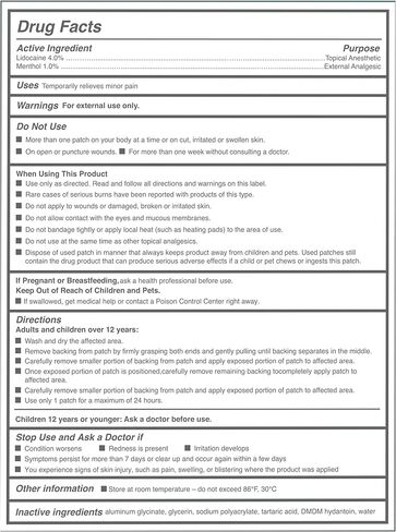 رقع ليدوكائين من جي جي كير (عبوة من 6 قطع)، 4% رقع يدوكائين أقصى قوة، 4 × 5.5 سم رقع يدوكائين لتخفيف آلام الظهر للتخدير السريع للأوجاع والظهر والرقبة وألم العضلات، تدوم حتى 12 ساعة in Kuwait