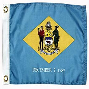 TAYLOR MADE PRODUCTS Flag 93095, Delaware