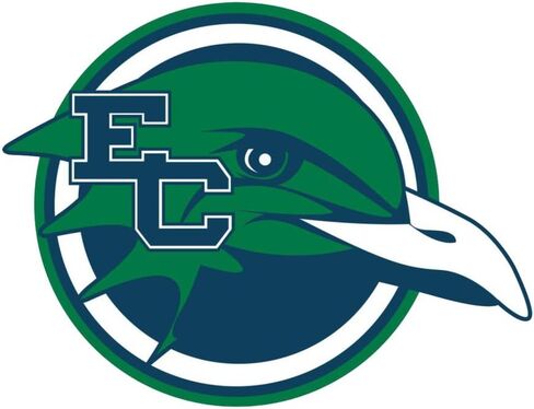 Endicott Athletics Logo OriginalStickers0281 Set of Two (2X) Stickers , Laptop , Car , Truck , Size 4 inches on Longer Side in Saudi Arabia