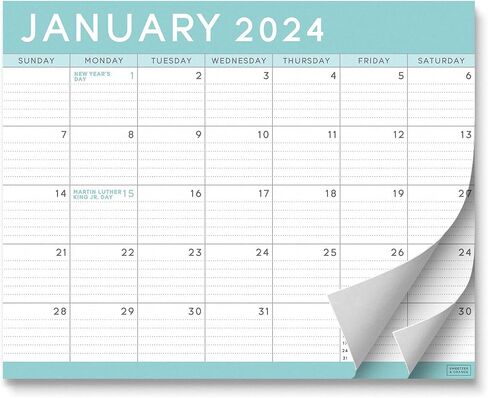 S&O Teal Magnetic Fridge Calendar from January 2024-June 2025 - Tear-Off Refrigerator Calendar to Track Events & Appointments - 18 Month Magnetic Calendar for Fridge for Easy Planning-8"x10" in. in Saudi Arabia