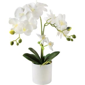 Potted Artificial Orchid Flowers, White Fake Orchid Flower Plant Real Touch Faux Phalaenopsis Orchid Flowers in Pot for Indoor Office Desk Home Wedding Table Centerpiece Decoration
