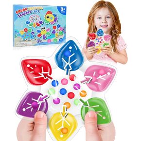 Color Sorting Sensory Toys, Toddler Travel Fine Motor Toys, Preschool Learning Activities Calm Down Sensory Toys for kids with Autism, Color Matching Montessori Fidget Toys for Kids Ages 3+, Dinosaur in Saudi Arabia