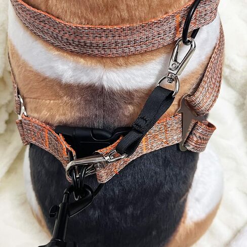 Prong Collar Safety Clip,Dog Chain Collars Clasp,Collar to Vests Connector,Double Backup Clip for Dog Collars Harnesses & Leashes, 4.7''Black*1PC in Saudi Arabia