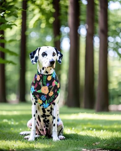 PET SHOW 15 Pack 4th of July Dog Bandanas Bulk Large Medium Small 3 Mixed American Flag Dog Patriotic Scarves Puppy Stripe Triangle Bibs Kerchief Set Cats Pets Girl Boy Grooming Accessories in Kuwait