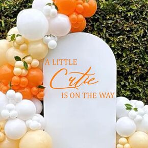 A Little Bunny is On The Way Baby Shower Balloons Arch Decal - Some Bunny Party Background Decal for Spring Easter Rabbit Themed Baby Shower