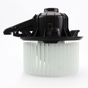 AC Blower Motor with Fan HVAC Heater Blower Motor Fan Fit for 2010-2014 Ford F-150, 2010-2017 Expedition, 2010-2017 Lincoln Navigator Replaces# FO3126130, CL1Z19805A, 700237