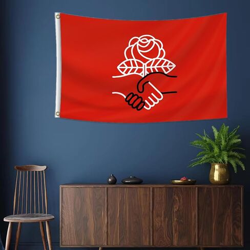 Democratic Socialists of America Flag 3x5 Feet Funny Tapestry for College Party Room Indoor and Outdoor Déco Flagr in Saudi Arabia