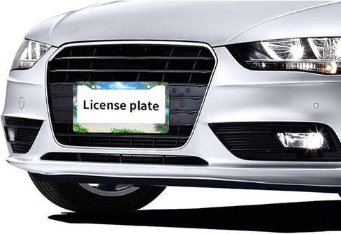 Palm Leaf License Plate Frames Tropical Floral Exotic Plants Banana Leaf Botanical License Plate Cover for Men Women Car Accessories in Saudi Arabia