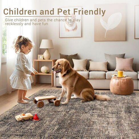 Washable Area Rug 5x7 Vintage Distressed Living Room Bedroom Throw Rug Non Slip Low Pile Soft Accent Rug Indoor Floor Carpet for Dining Room Office Home Decor, Grey in Saudi Arabia