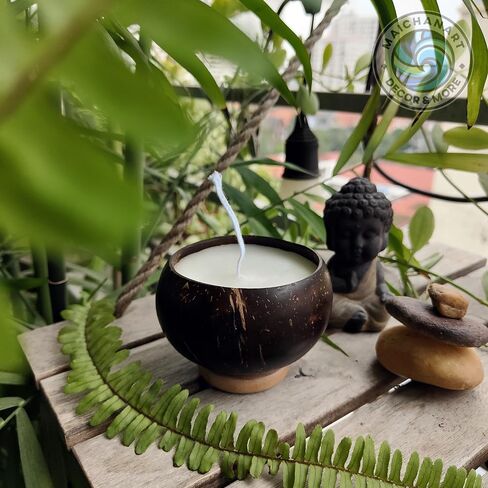 Maichanart Hand-Artistic Scented Candle: Fragrant Coconut Shell Candle (Small 4inch, Coconut) in Saudi Arabia