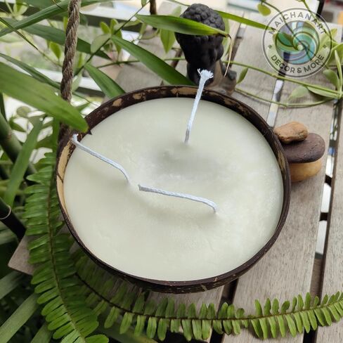 Maichanart Hand-Artistic Scented Candle: Fragrant Coconut Shell Candle (Small 4inch, Coconut) in Saudi Arabia