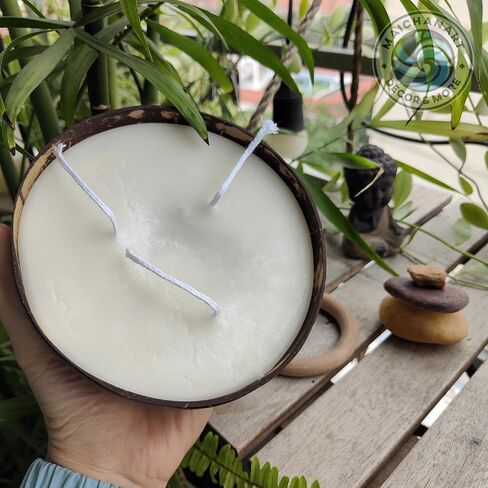 Maichanart Hand-Artistic Scented Candle: Fragrant Coconut Shell Candle (Small 4inch, Coconut) in Saudi Arabia