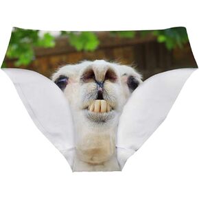 Xinind Cute Alpaca Design Women Ladies Low Rise Hipster Brief Underwear,Sexy Soft Fashion Underpants Full Set of 3 Pack Dry Quickly