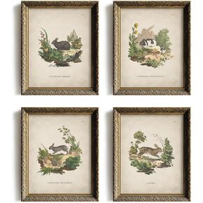 لوحة فنية جدارية على شكل أرنب عتيق - مجموعة طباعة ملصق أرنب عيد الفصح الربيعي - ديكور بيض عيد الفصح للمزرعة الحديثة لغرفة النوم وغرفة المعيشة - ديكور ريفي فرنسي ريفي - هدية حرفية للنساء in Kuwait