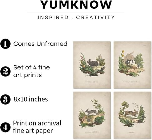 لوحة فنية جدارية على شكل أرنب عتيق - مجموعة طباعة ملصق أرنب عيد الفصح الربيعي - ديكور بيض عيد الفصح للمزرعة الحديثة لغرفة النوم وغرفة المعيشة - ديكور ريفي فرنسي ريفي - هدية حرفية للنساء in Kuwait