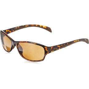 Coyote Eyewear Contemporary