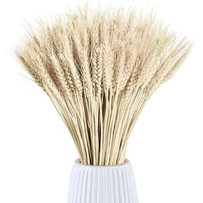 Dried Wheat Stalks, Wheat Sheaves Plant for Decorating Wedding Store Opening Table Home Kitchen 150PCS (16" White)