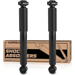 Pair Front Strut Assembly Compatible with 2002-2007 Buick Rendezvous/2001-2005 Pontiac Aztek Coil Spring Shock Absorbers 172113