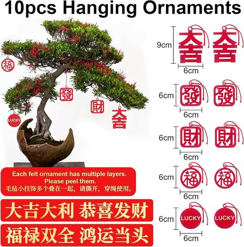 Chinese New Year Decoration Red Chinese Knotting Cord Chinese Fu Character 3D Twin Fish Charm Tassel Lucky Felt Hanging Ornament for Lunar Year Snake 2025 Spring Festival Party Decor 29 * 10in 12 PCS in Saudi Arabia