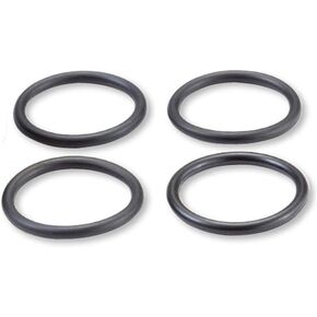 High-Pressure Oil Rail Seal Kit Alliant Part #AP0070