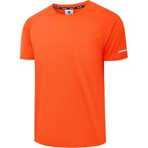 Holure Men's Mesh Quick-Dry Short Sleeve Workout T-Shirt