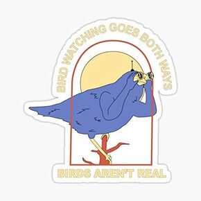 decals Bird Watching Sticker - Vinyl, Wall, Irregular, Bird, Outdoor, 1 Count