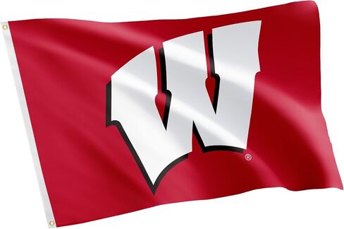 Desert Cactus University of Wisconsin Flag Badgers UW Madison Flag Banners 100% Polyester Indoor Outdoor 3x5 feet Flags (Style 3) in Saudi Arabia