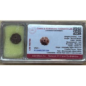Empowering 7 Mukhi Rudraksha Bead, Universal Sun Sign, Root Chakra