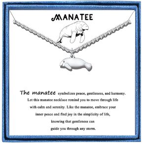 PARTNER Charm Sea Turtle Necklace Gifts for Women Turtle Gifts for Women Turtle Silver Stainless Steel Necklace for Women