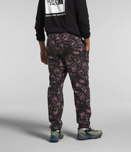 THE NORTH FACE Men's Alpine Polartec 100 Pant, Fawn Grey Snake Charmer Print, Large Regular in Saudi Arabia