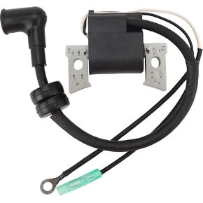 WOOSTAR Ignition Coil with CDI Unit Replacement for 4 Stroke Outboard Engine 6HP F6 MS/LH SMHA F6C MHS/L MHS MHL OEM 6BX-85571-00