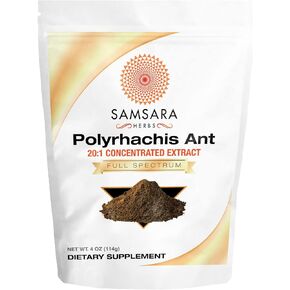 Polyrhachis Black Ant Extract Powder - 20:1 Concentrated Extract (8oz/227g)
