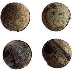 MHAD SPICE Chamalongos Set of 4 | IFA Yoruba Santeria Palo Divination Tool