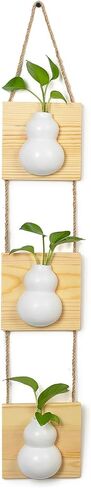 Boho Wall Decor for Bathroom - Small Wall Propagation for Indoor Plants - Hanging Planter Vase for Artificial Flowers in Saudi Arabia