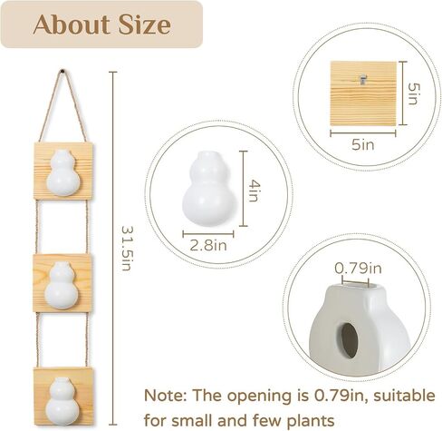 Boho Wall Decor for Bathroom - Small Wall Propagation for Indoor Plants - Hanging Planter Vase for Artificial Flowers in Saudi Arabia