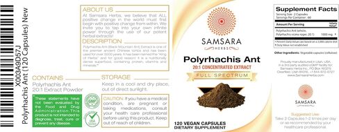Polyrhachis Black Ant Extract Powder - 20:1 Concentrated Extract (8oz/227g) in Saudi Arabia