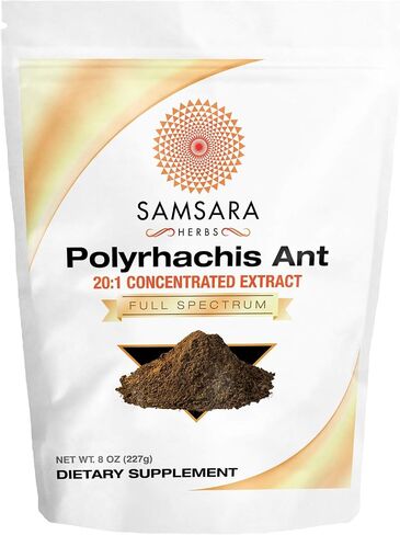 Polyrhachis Black Ant Extract Powder - 20:1 Concentrated Extract (8oz/227g) in Saudi Arabia