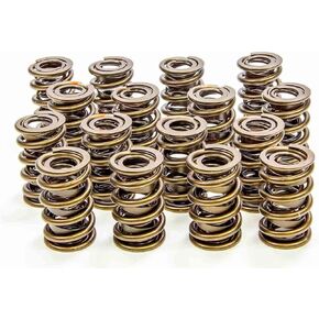 Isky Racing Cams (9375PLUS) 1.560" O.D. Valve Spring